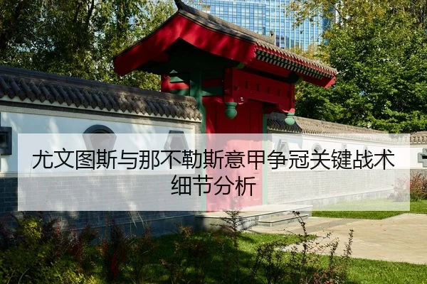 尤文图斯与那不勒斯意甲争冠关键战术细节分析（AGAsia）
